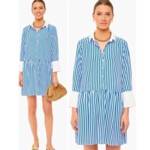 Tuckernuck Hayes Blue and White Striped Long Sleeve Shirt Dress | S